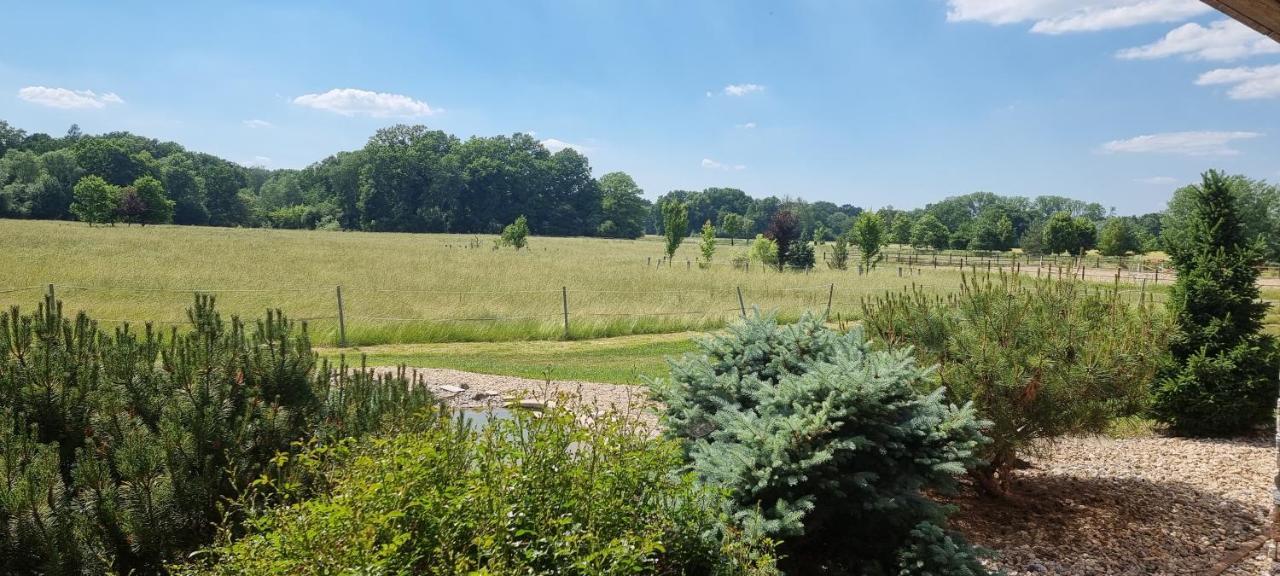 Ranc Orlice Vila Třebechovice pod Orebem Exterior foto
