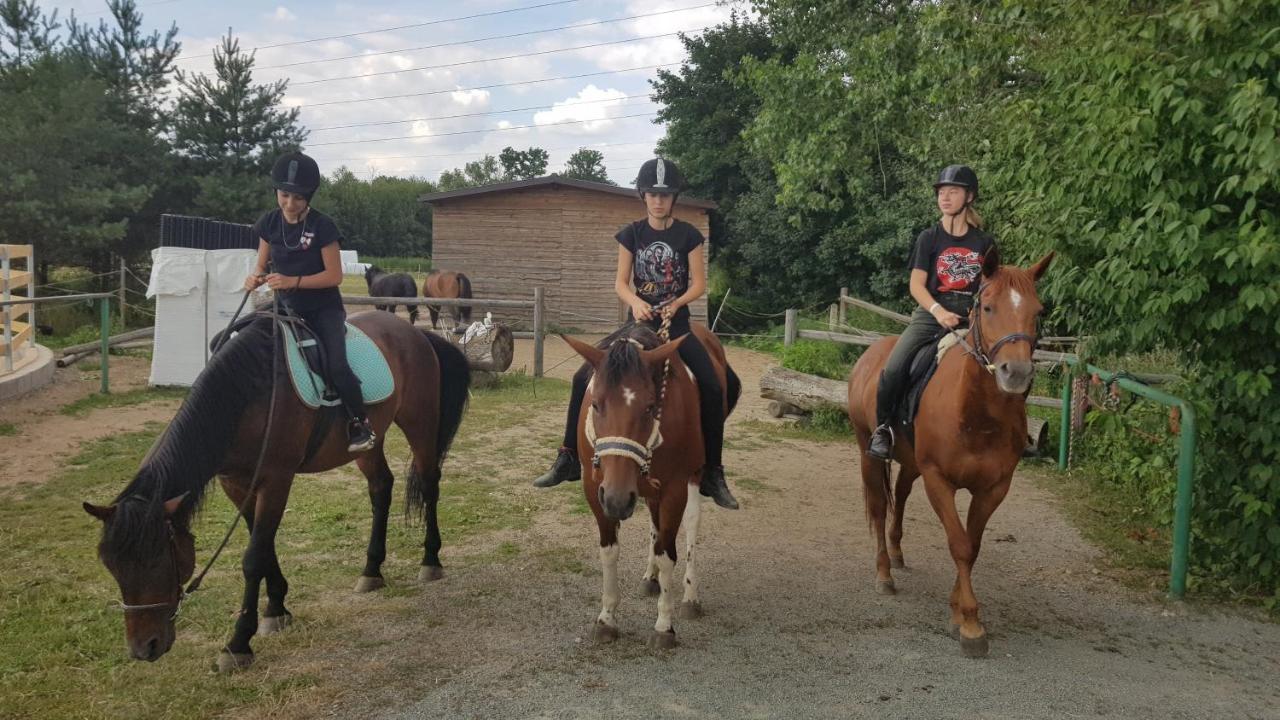 Ranc Orlice Vila Třebechovice pod Orebem Exterior foto