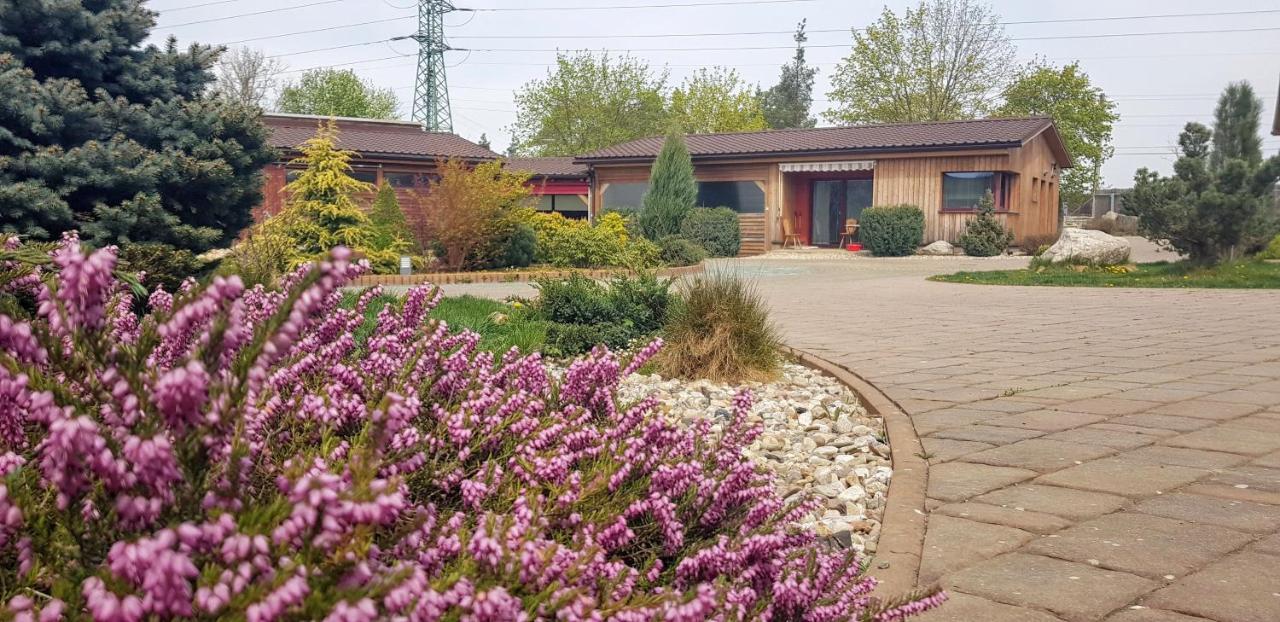 Ranc Orlice Vila Třebechovice pod Orebem Exterior foto