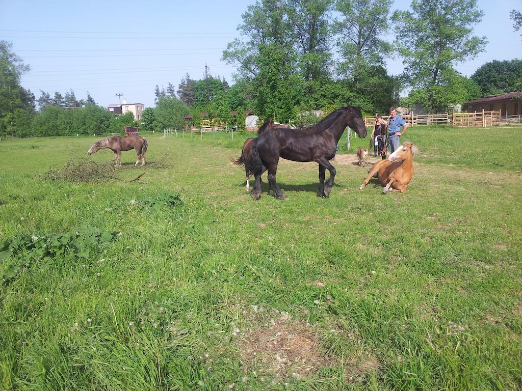 Ranc Orlice Vila Třebechovice pod Orebem Exterior foto